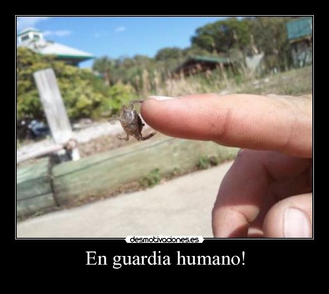 En guardia humano! - 