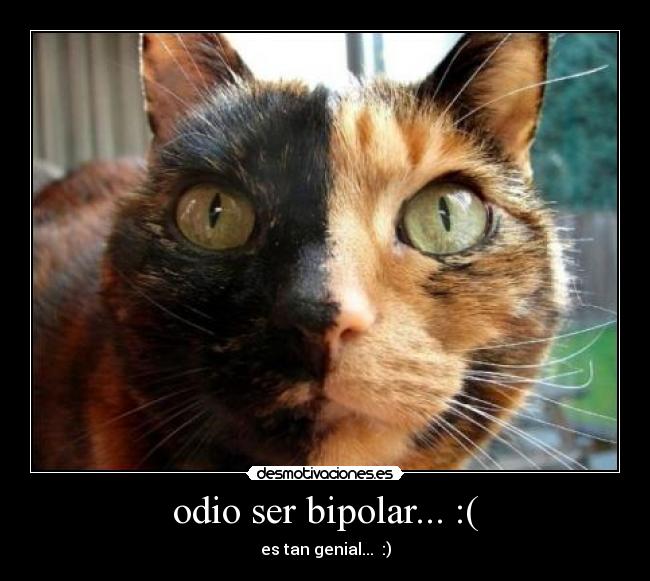 odio ser bipolar... :( - es tan genial... :)