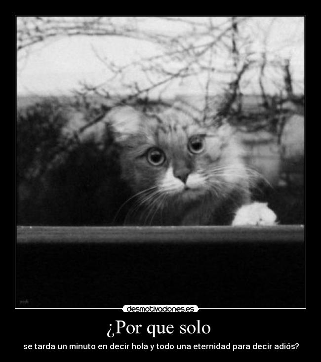 ¿Por que solo -