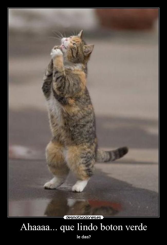 carteles verde desmotivaciones