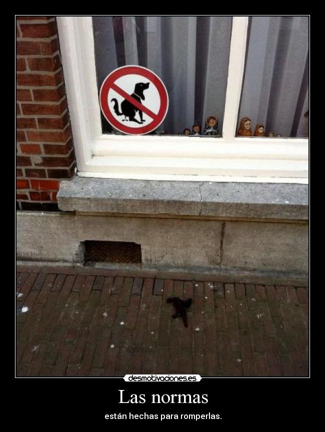 Las normas - están hechas para romperlas.