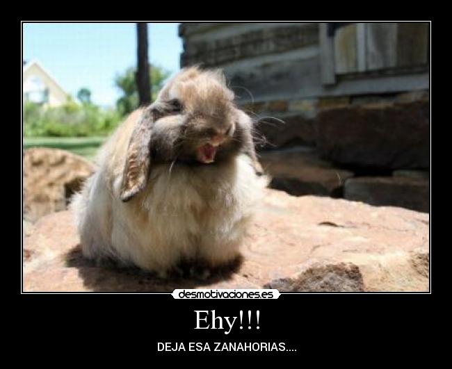 Ehy!!! - DEJA ESA ZANAHORIAS....