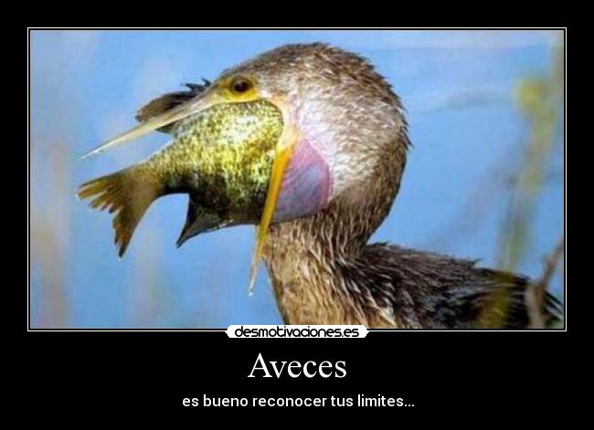 Aveces - es bueno reconocer tus limites...