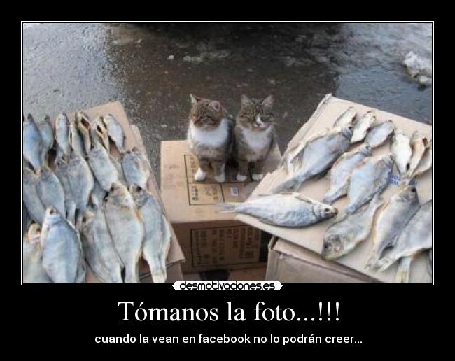 Tómanos la foto...!!! - cuando la vean en facebook no lo podrán creer...