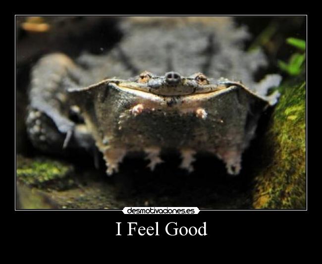 I Feel Good -