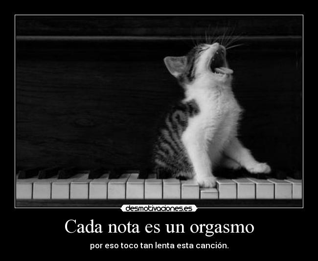 carteles lenta desmotivaciones