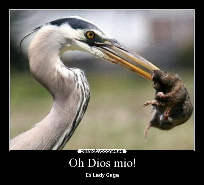 Oh Dios mio! -