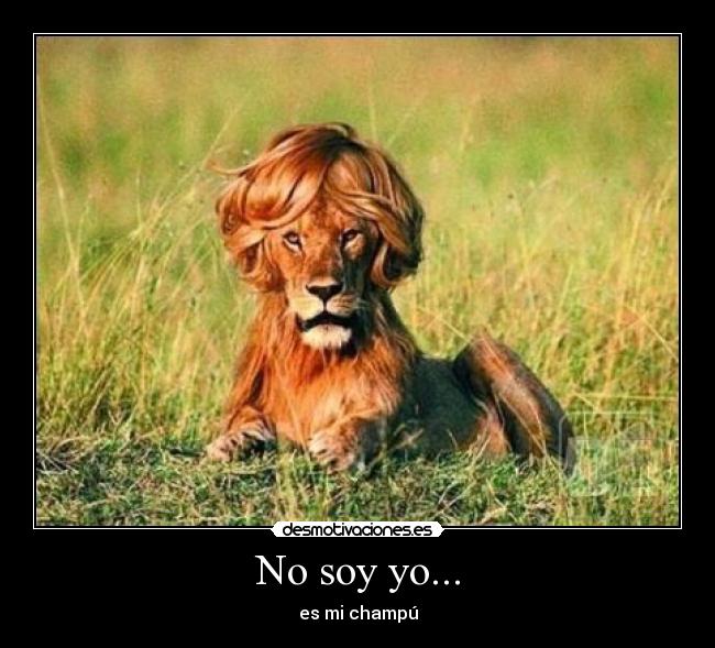 No soy yo... - es mi champú
