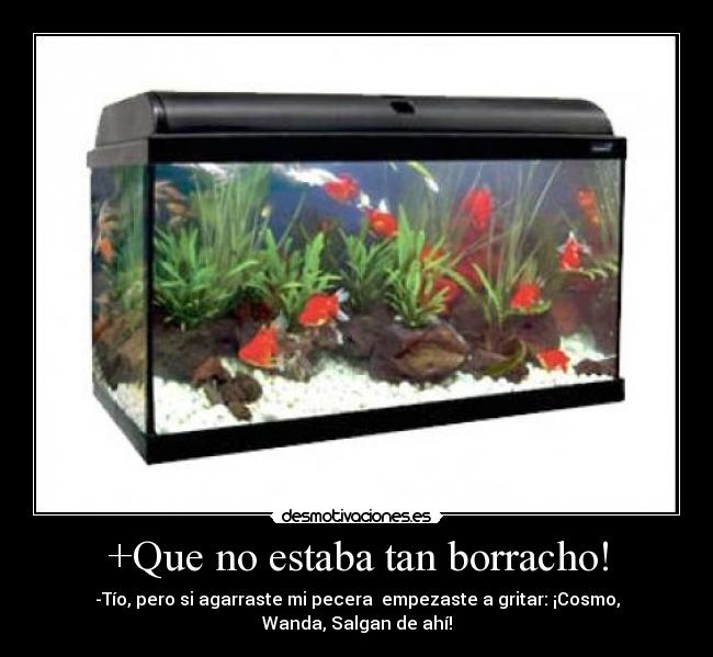 +Que no estaba tan borracho! - -Tío, pero si agarraste mi pecera empezaste a gritar: ¡Cosmo, Wanda, Salgan de ahí!