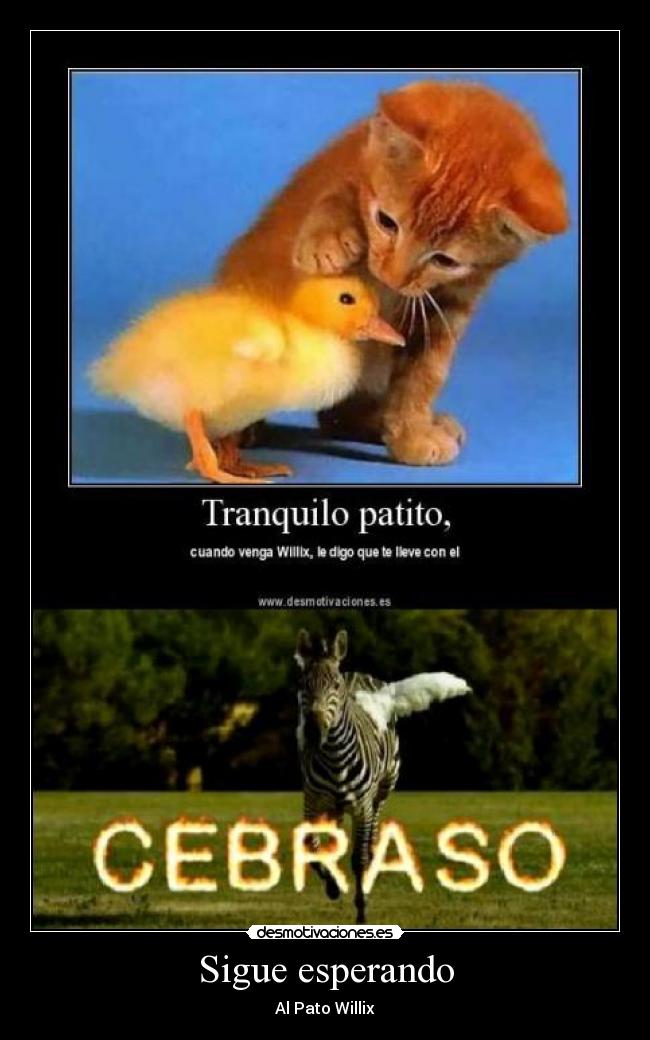 Sigue esperando - Al Pato Willix