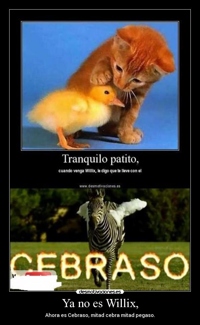 Ya no es Willix, - Ahora es Cebraso, mitad cebra mitad pegaso.