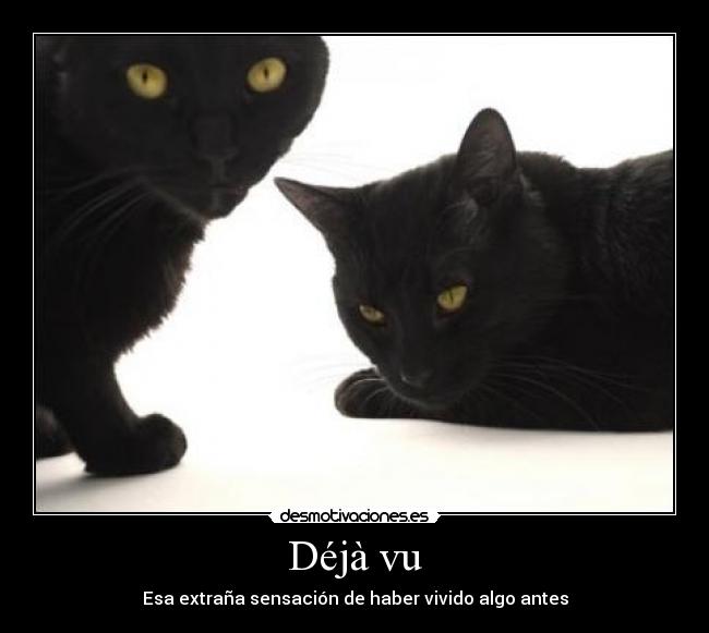 Déjà vu - 
