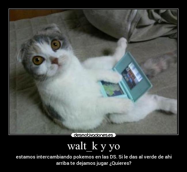 walt_k y yo - estamos intercambiando pokemos en las DS. Si le das al verde de ahi
arriba te dejamos jugar ¿Quieres?