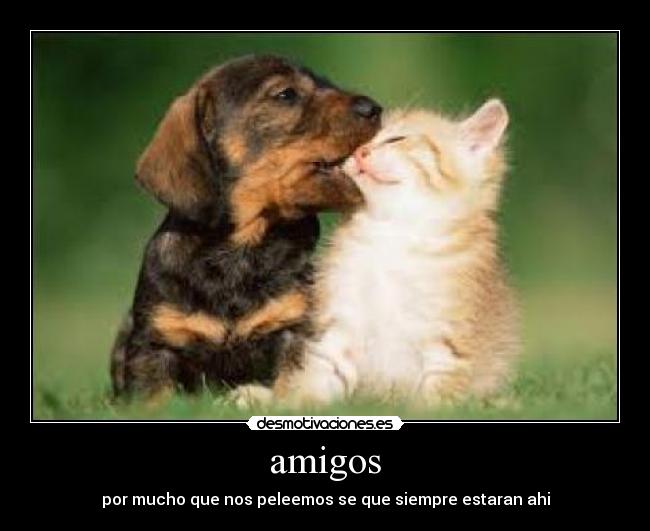 amigos - por mucho que nos peleemos se que siempre estaran ahi