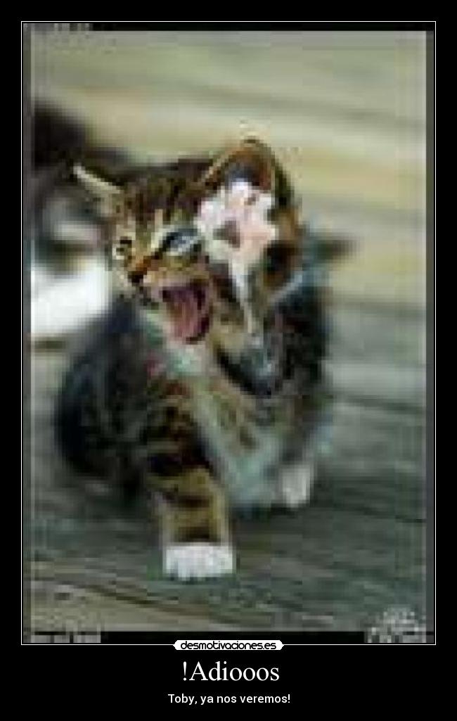 !Adiooos - Toby, ya nos veremos!