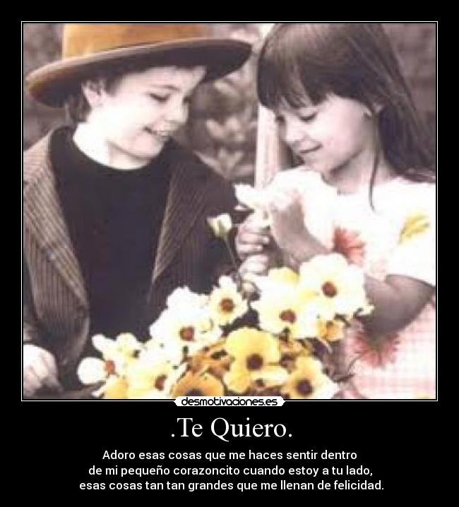 .Te Quiero. - Adoro esas cosas que me haces sentir dentro
de mi pequeño corazoncito cuando estoy a tu lado,
 esas cosas tan tan grandes que me llenan de felicidad.