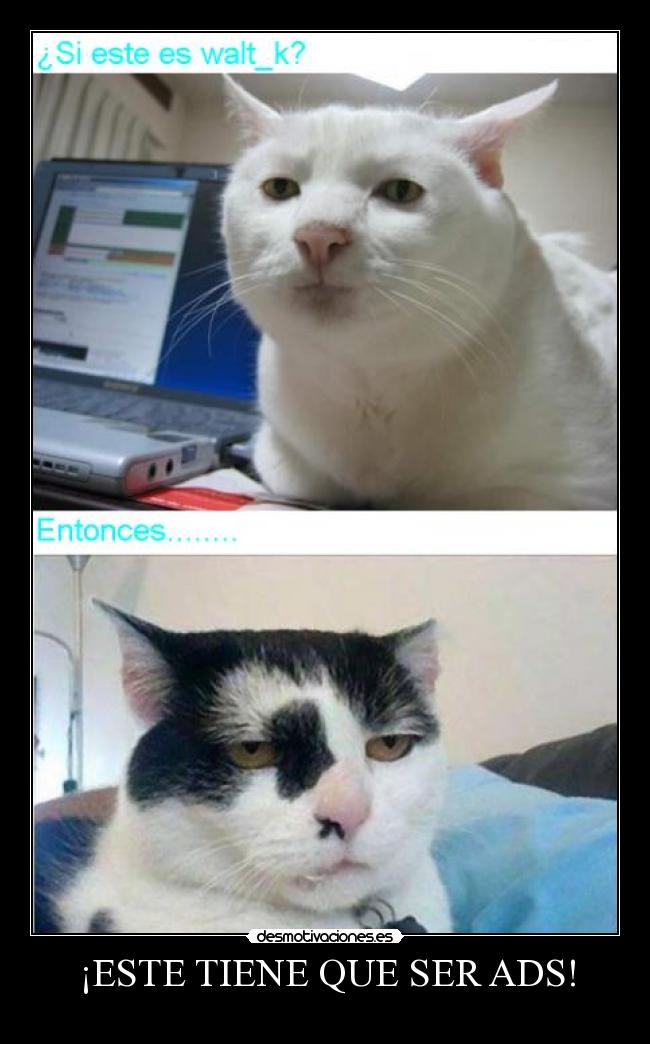 ¡ESTE TIENE QUE SER ADS! - 