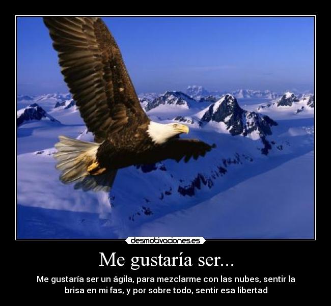 Me gustaría ser... -