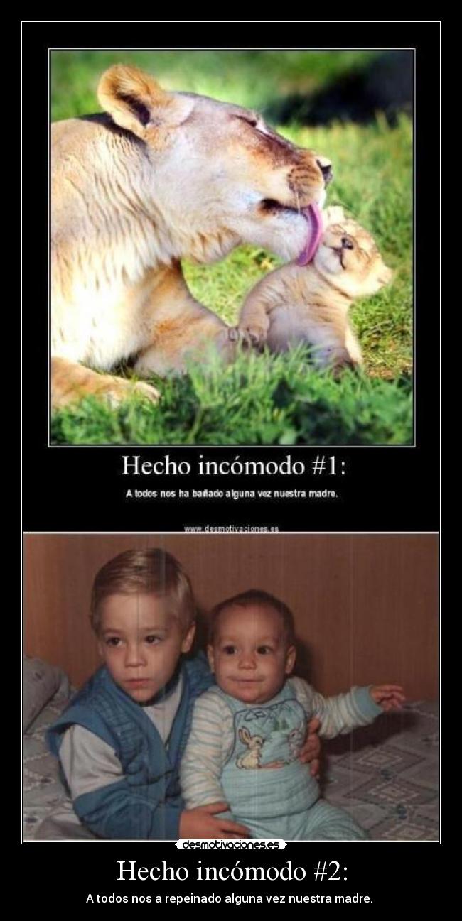 Hecho incómodo #2: - A todos nos a repeinado alguna vez nuestra madre.