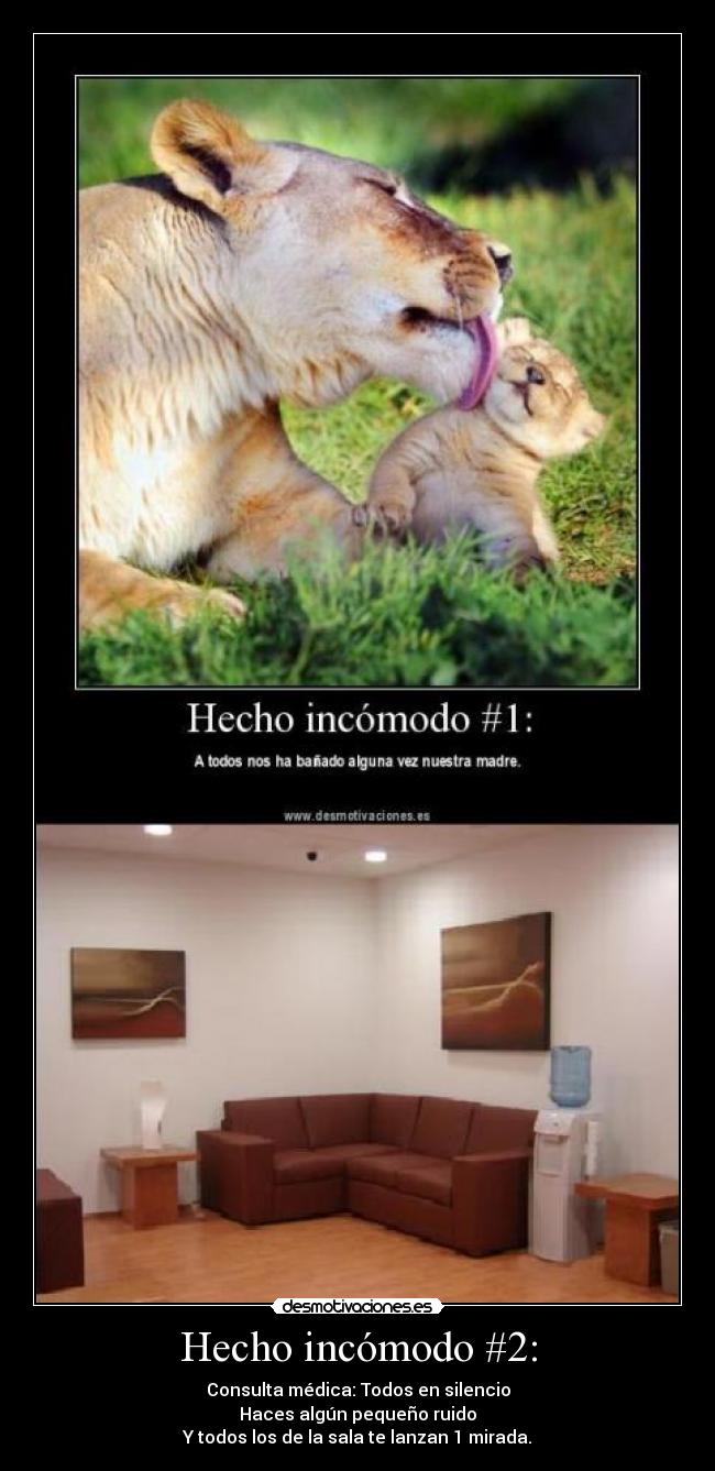 Hecho incómodo #2: - Consulta médica: Todos en silencio
Haces algún pequeño ruido
Y todos los de la sala te lanzan 1 mirada.