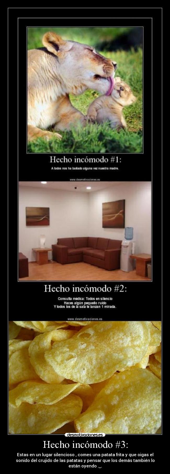 Hecho incómodo #3: - Estas en un lugar silencioso , comes una patata frita y que oigas el
sonido del crujido de las patatas y pensar que los demás también lo
están oyendo ._.