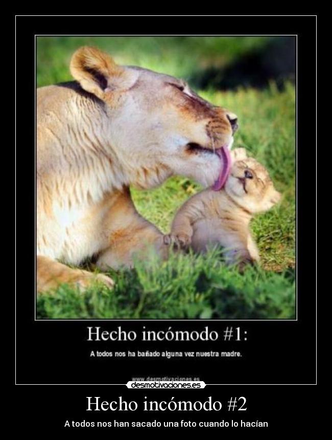 Hecho incómodo #2 -