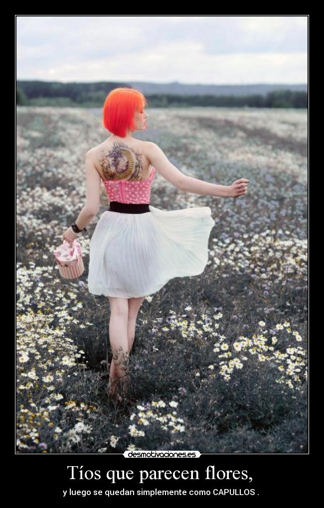 Tíos que parecen flores, - y luego se quedan simplemente como CAPULLOS .