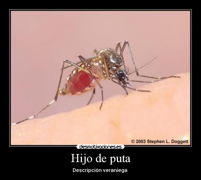 Hijo de puta - 