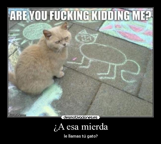 carteles gato mierda fucking kidding dibujo tiza cutre suelo desmotivaciones