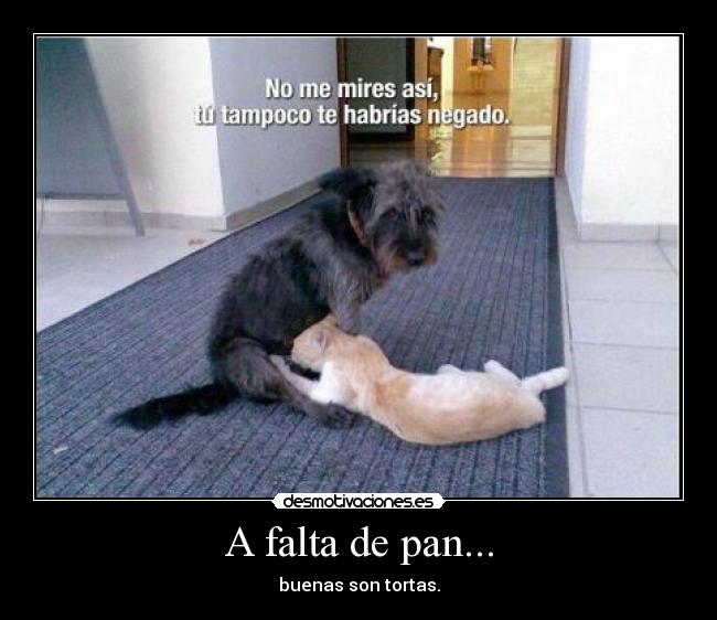 A falta de pan... - buenas son tortas.