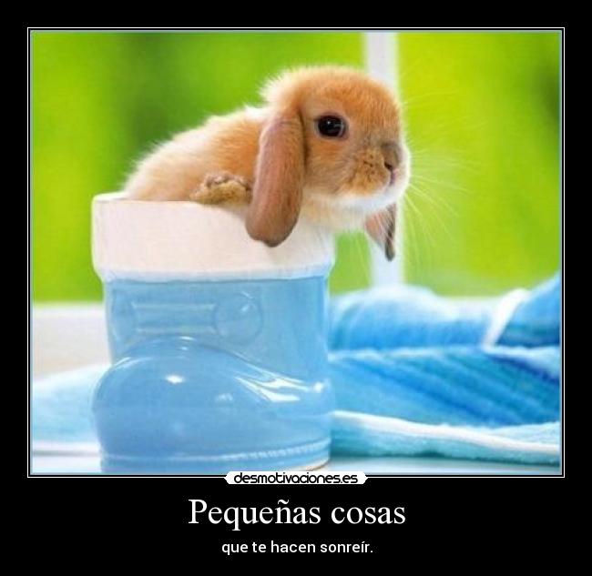 Pequeñas cosas -