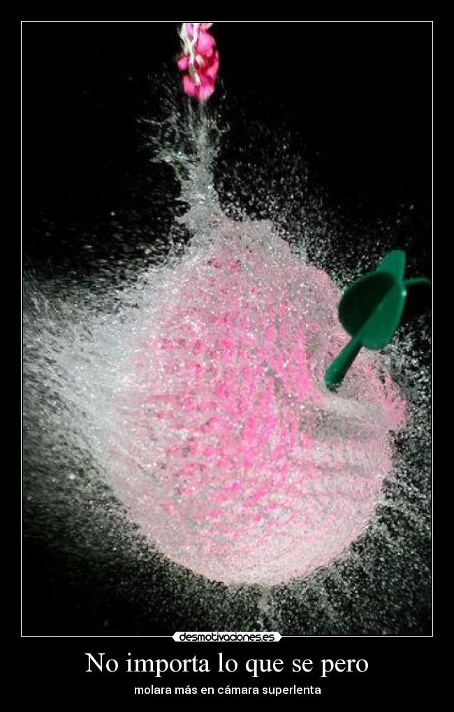 No importa lo que se pero -