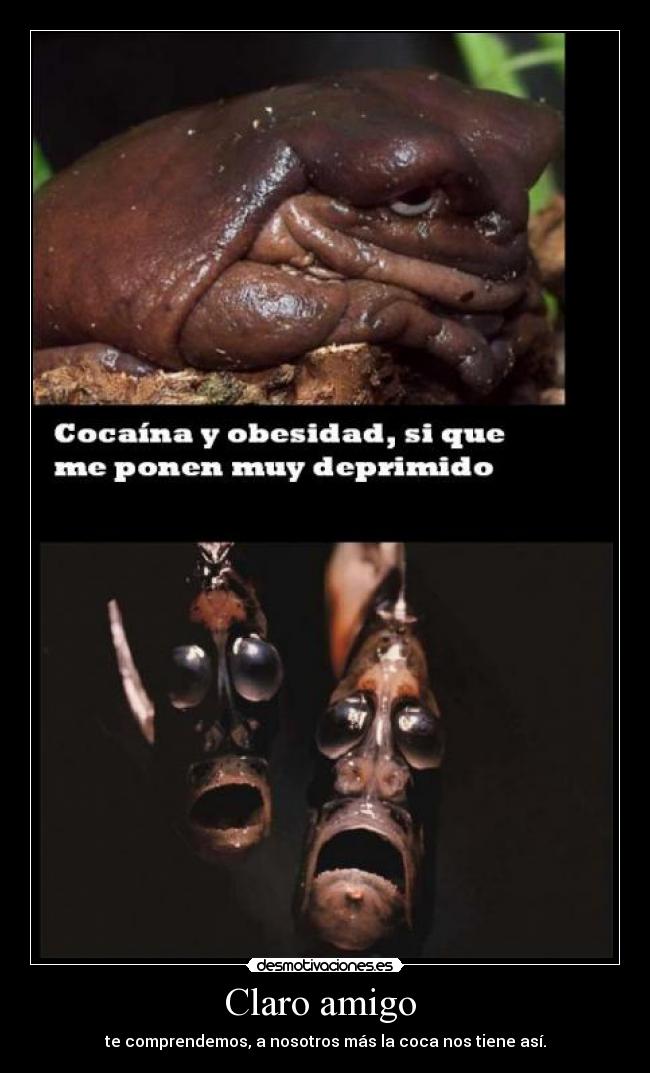 Claro amigo - te comprendemos, a nosotros más la coca nos tiene así.