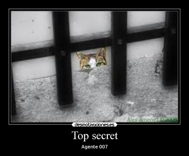 Top secret - Agente 007