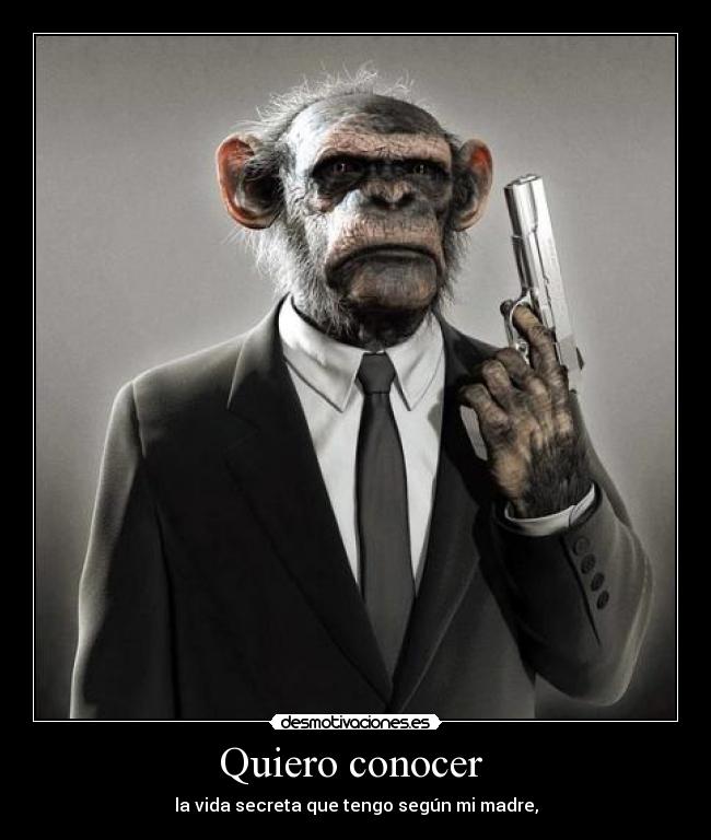 Quiero conocer  - 