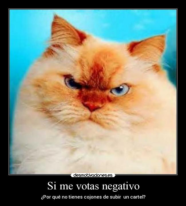 Si me votas negativo - 