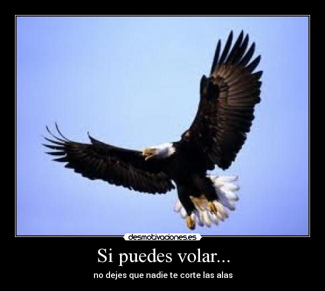 Si puedes volar... - no dejes que nadie te corte las alas