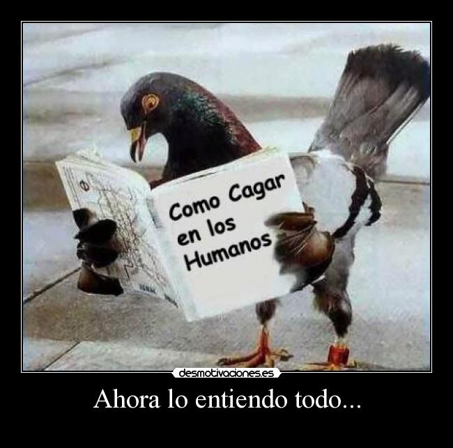 Ahora lo entiendo todo... -
