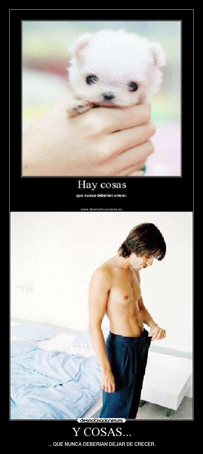 Y COSAS... -