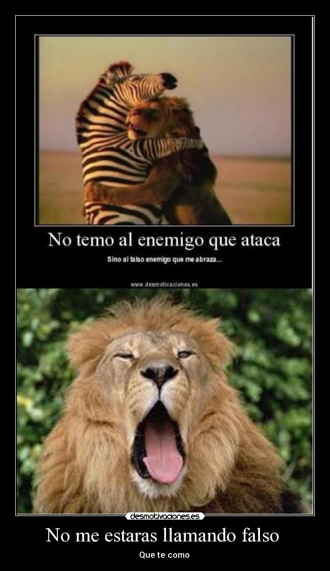 No me estaras llamando falso - Que te como