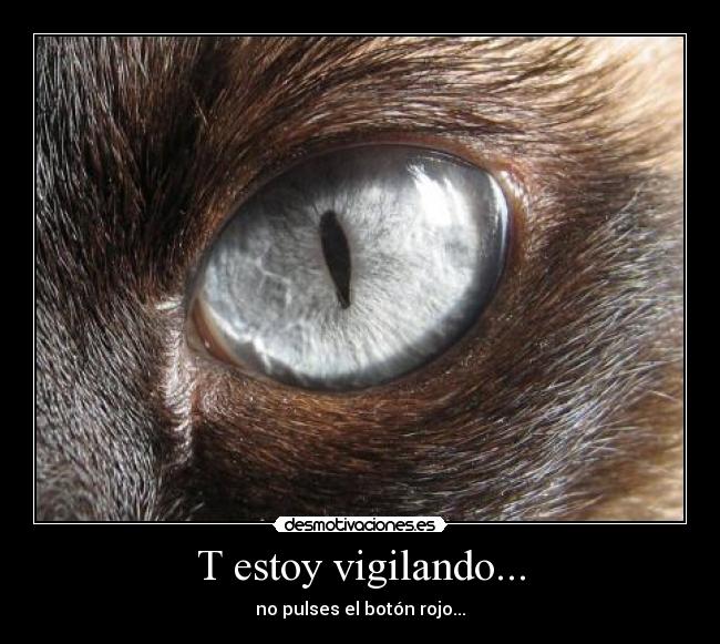 T estoy vigilando... -