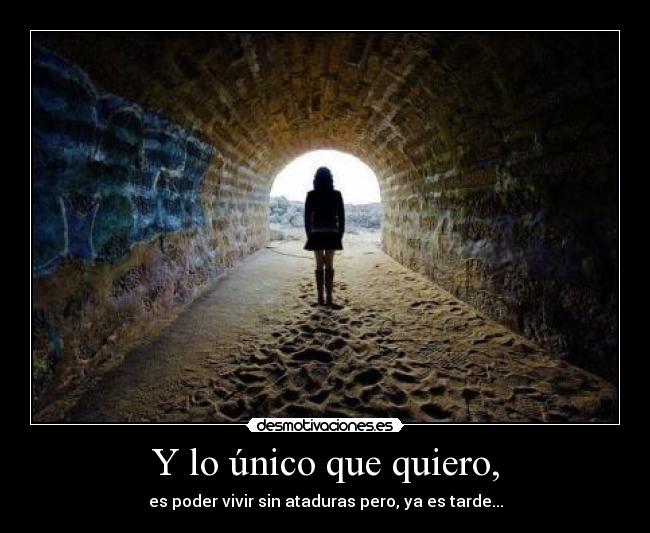 carteles  desmotivaciones