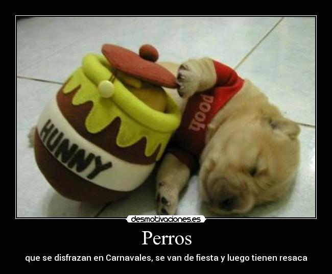 Perros -