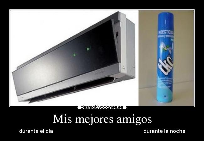 Mis mejores amigos -