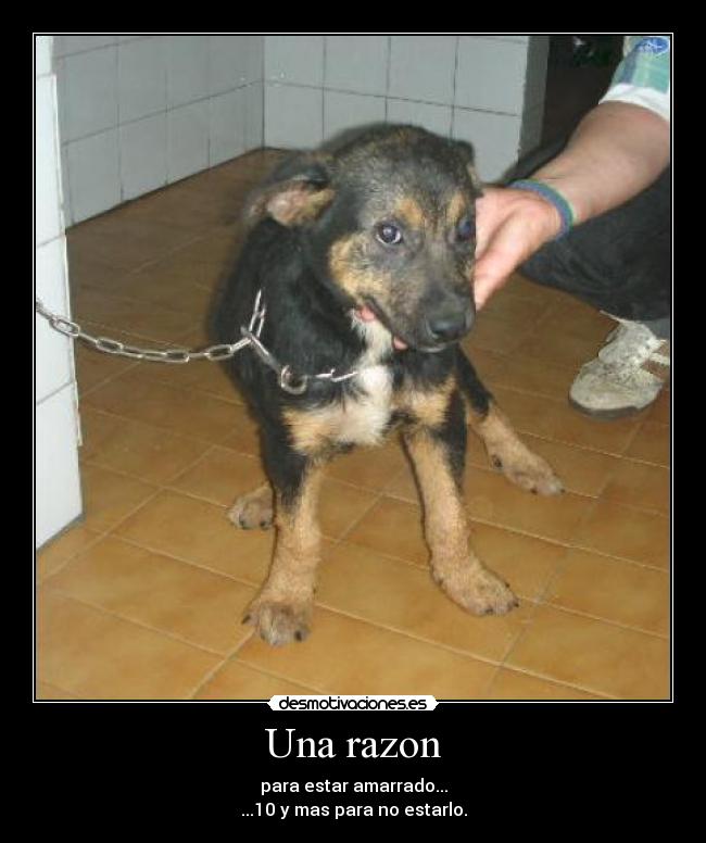 Una razon - para estar amarrado...
...10 y mas para no estarlo.