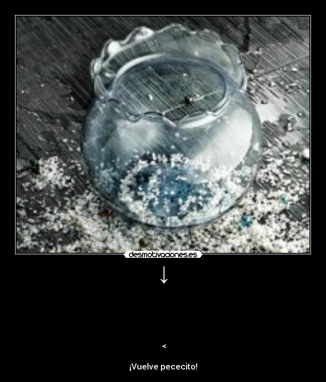 ↓ - ↓
↓
↓
↓
↓
 <

¡Vuelve pececito!