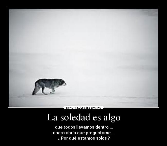 carteles soledad siria24 desmotivaciones