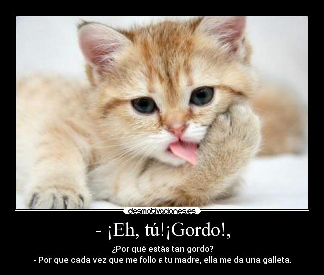 - ¡Eh, tú!¡Gordo!, -