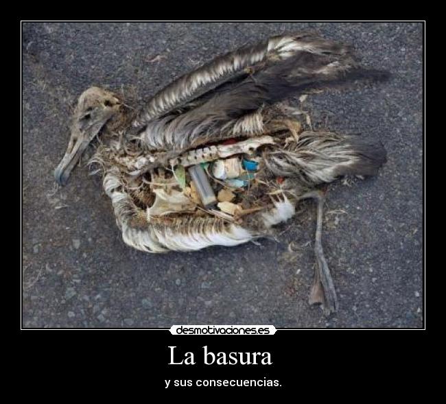 La basura -