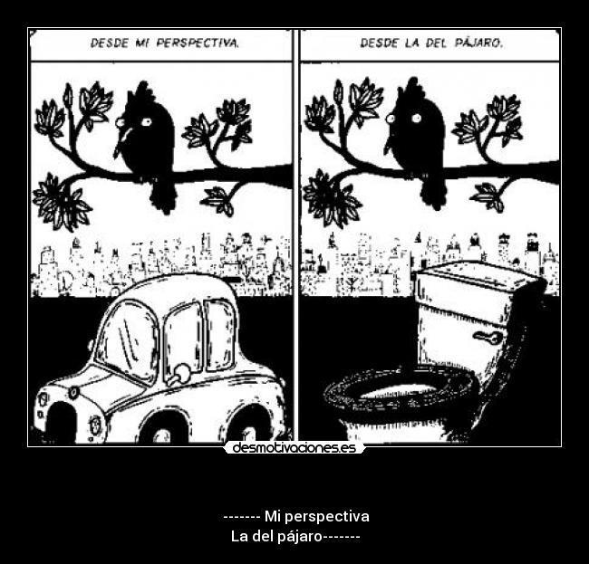 - ------- Mi perspectiva
La del pájaro-------